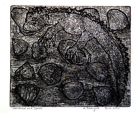 ChameleonShells3-19-2000Etching11x13in.jpg